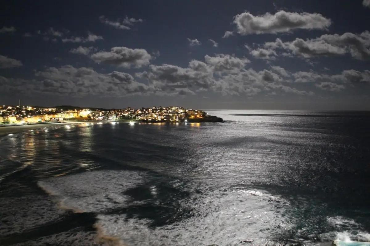 Studio Bondi Beach Sydney Exterior photo